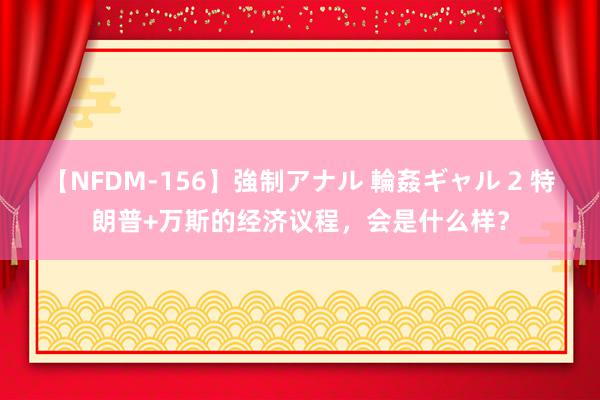 【NFDM-156】強制アナル 輪姦ギャル 2 特朗普+万斯的经济议程，会是什么样？