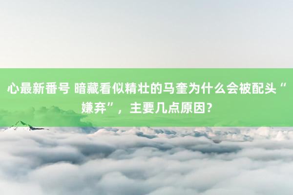 心最新番号 暗藏看似精壮的马奎为什么会被配头“嫌弃”，主要几点原因？