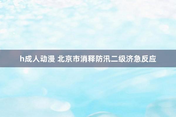 h成人动漫 北京市消释防汛二级济急反应