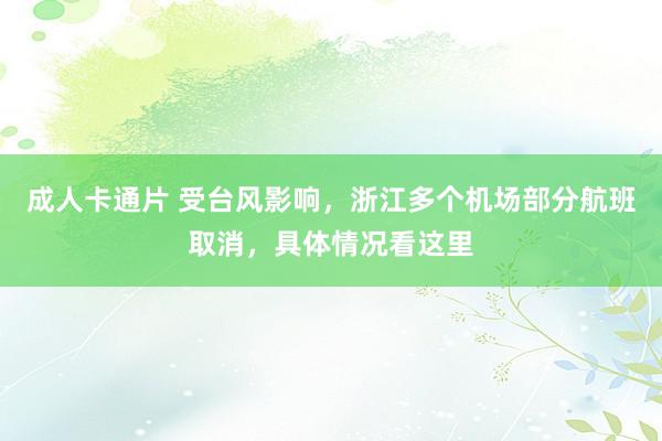 成人卡通片 受台风影响，浙江多个机场部分航班取消，具体情况看这里