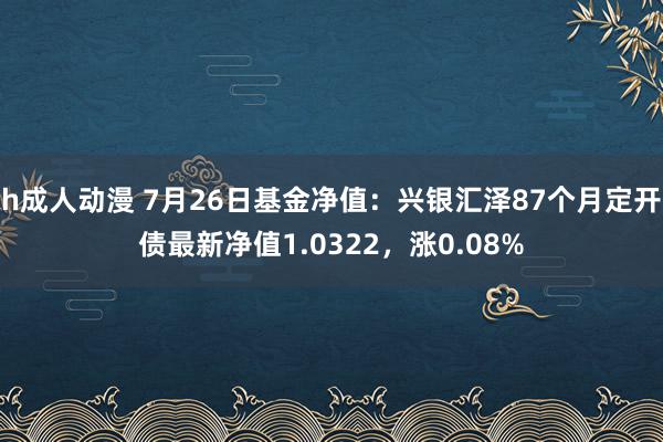 h成人动漫 7月26日基金净值：兴银汇泽87个月定开债最新净值1.0322，涨0.08%