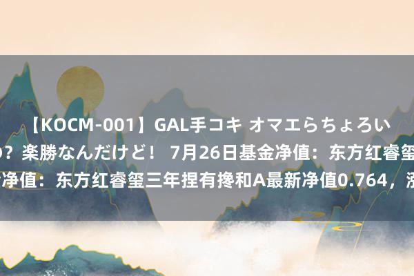 【KOCM-001】GAL手コキ オマエらちょろいね！こんなんでイッてるの？楽勝なんだけど！ 7月26日基金净值：东方红睿玺三年捏有搀和A最新净值0.764，涨0.22%