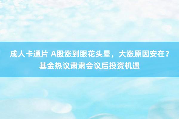 成人卡通片 A股涨到眼花头晕，大涨原因安在？基金热议肃肃会议后投资机遇