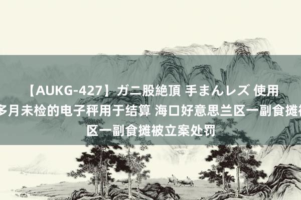 【AUKG-427】ガニ股絶頂 手まんレズ 使用超期10个多月未检的电子秤用于结算 海口好意思兰区一副食摊被立案处罚