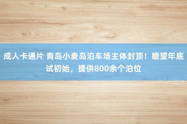 成人卡通片 青岛小麦岛泊车场主体封顶！瞻望年底试初始，提供800余个泊位