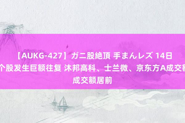 【AUKG-427】ガニ股絶頂 手まんレズ 14日46只个股发生巨额往复 沐邦高科、士兰微、京东方A成交额居前