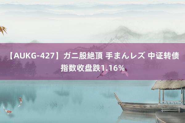 【AUKG-427】ガニ股絶頂 手まんレズ 中证转债指数收盘跌1.16%