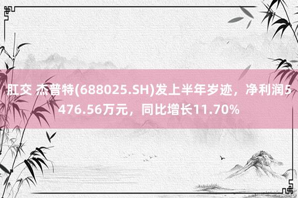 肛交 杰普特(688025.SH)发上半年岁迹，净利润5476.56万元，同比增长11.70%